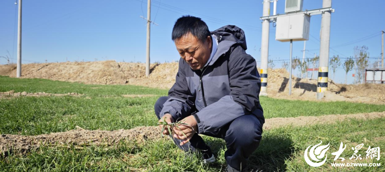 通水+养地+科技 增产“三板斧”筑起德州